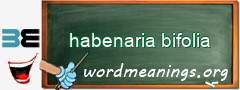 WordMeaning blackboard for habenaria bifolia